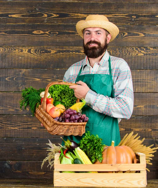 Farmer házi zöldségekkel. Friss bio zöldségek fonott kosárban és fadobozban. Ember vidám szakállas farmer mellett zöldségek fa háttér. Parasztszalmakalap friss zöldségekkel — Stock Fotó