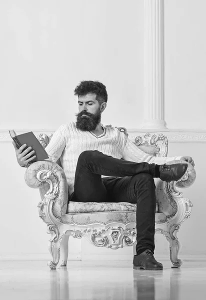 Lecturer smart sit on armchair and reads book, white wall background. Scientist, professor on pensive face enjoys literature. Man with beard and mustache spends leisure with book. Intelligent concept — Stock Photo, Image