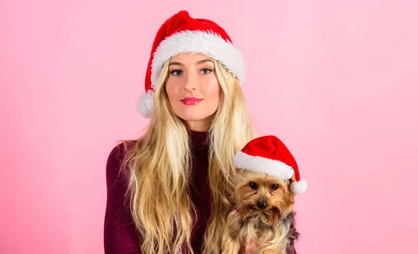 Reasons to love christmas with pets. Girl attractive blonde hold dog pet pink background. Woman with puppy wear santa hat. Celebrate christmas with pets. Ways to have merry christmas with pets