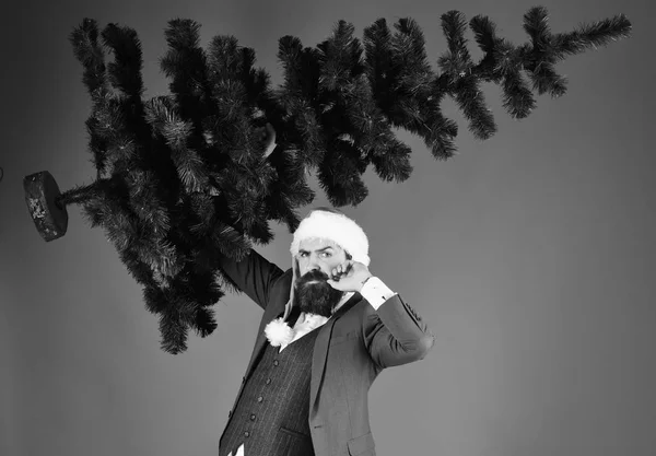 Geschäftsmann mit ernstem Gesicht hält kahlen Weihnachtsbaum hoch — Stockfoto