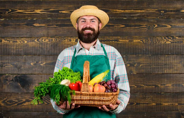 Farmer házi zöldségekkel a kosárban. Ember szakállas farmer bemutató öko zöldségek fa háttér. Friss bio zöldségek fonott kosárban. Parasztszalmakalap friss zöldségekkel — Stock Fotó
