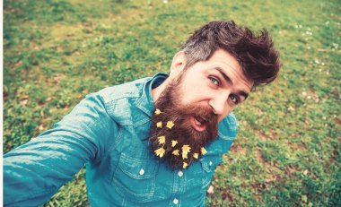 Hipster neşeli yüzündeki defocused çimenlerin üzerinde oturur. Sakallı Bahar, yeşil çayır arka plan sahiptir. Doğal güzellik kavramı. Selfie fotoğrafta sakallı küçük kırlangıçotu çiçekli adam