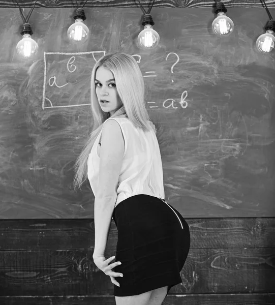 Жінка з гарними сідницями викладає математику. Сексуальна концепція вчителя. Леді сексуальна вчителька в короткій спідниці озирається назад, пояснюючи формулу. Викладач математики, що пише на крейдяній дошці, вид ззаду — стокове фото