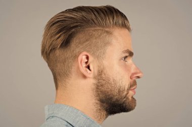 Tıraşsız yüzü profildeki sakallı