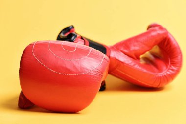 Bir çift boks eldiveni yan yana yatar.