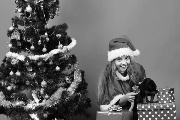 Glad barn och hund med julklapp nära xmas träd — Stockfoto