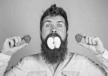 Meyve doldurma. Adam yakışıklı hipster uzun sakal elma tutun çilek yiyin. Hipster sürpriz doldurma meyve tadını çıkarın. Adam doldurulmuş elma. Apple ağız sakallı hippi çilek her iki elinde tutar.