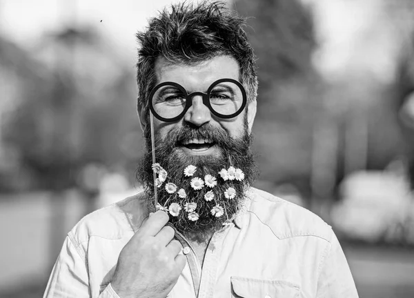 Man with long beard and mustache, defocused nature background. Guy looks nicely with daisy or chamomile flowers in beard. Springtime concept. Hipster with beard on smiling face, posing with glasses