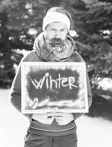 Handsome man in santa claus hat, bearded hipster with beard and moustache covered with white frost, holds black board or chalkboard with winter word on sunny day outdoors on natural backgroun — Stock Photo, Image