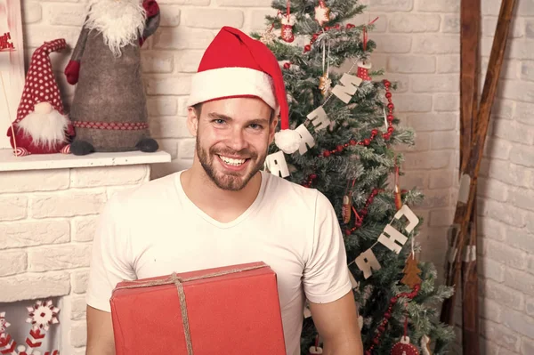 Macho de navidad en sombrero de santa con caja en árbol de navidad — Foto de Stock