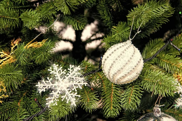 Weihnachtsbaum mit Tannennadeln auf natürlichem Hintergrund — Stockfoto