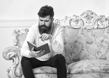 Macho on concentrated face reading book. Scandalous bestseller concept. Guy reading book with attention. Man with beard and mustache sits on baroque style sofa, holds book, white wall background clipart