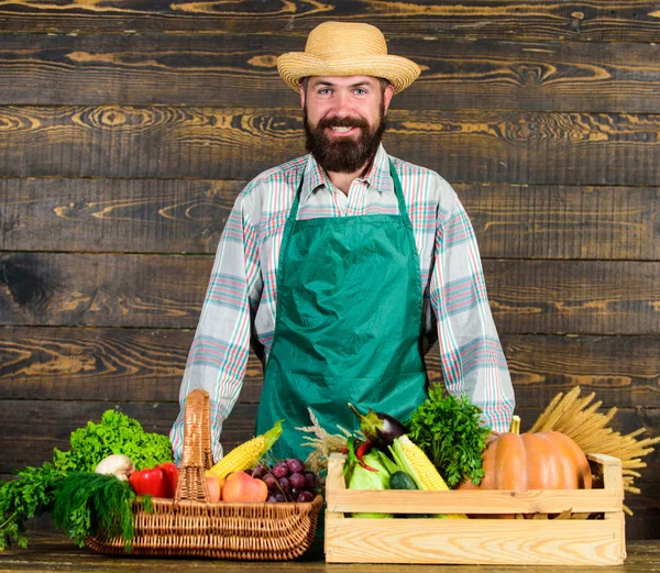 Verduras orgánicas frescas en canasta de mimbre y caja de madera. Hombre alegre granjero barbudo cerca de verduras fondo de madera. Sombrero de paja granjero presentando verduras frescas. Agricultor con verduras de cosecha propia —  Fotos de Stock