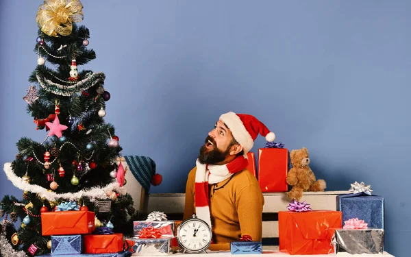 Santa Claus sits near fir tree on blue background. — Stock Photo, Image