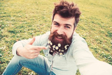 Sakallı bahar, yeşil çayır arka plan sahiptir. Papatya veya papatya çiçek selfie fotoğrafta sakallı adam. Yüz poitnting sakal, gülümseyen üzerinde hippi. Doğal güzellik kavramı