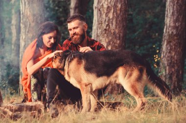 Kaç Alman çoban köpek açık, orman arka plan ile oynamak.