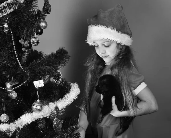 Anno nuovo di concetto di Cane. Miss Santa tiene il cagnolino — Foto Stock