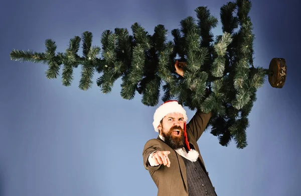 Businessman with raging face holds bald Christmas tree up — Stock Photo, Image