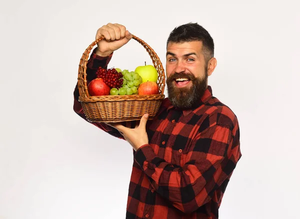 Αγρότης με ενθουσιασμένο πρόσωπο παρουσιάζει μήλα, σταφύλια και cranberries. — Φωτογραφία Αρχείου