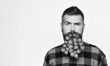 Tarım ve Bahçe kavramı. Adam domates çilek sakal tutar.