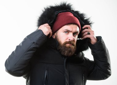 Nasıl en iyi kış ceket tercih. Kış sezonu erkek giyim. Hava geçirmez ceket kavramı. Adam stand sıcak ceket parka beyaz arka plan üzerinde izole sakallı. Hood sıcaklık ve hava direnci ekler