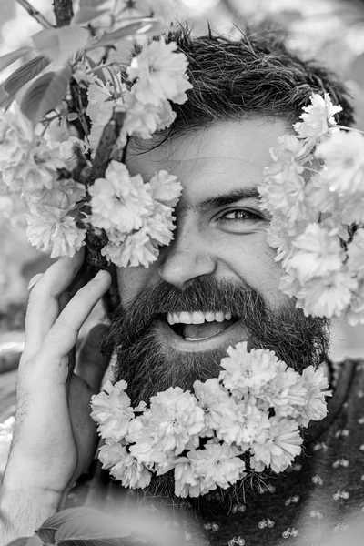 Soins de la peau et concept de soins capillaires. Visage masculin barbu regardant hors de la floraison de sakura. Homme avec barbe et moustache sur le visage heureux près des fleurs roses tendres, gros plan. Hipster avec fleur de sakura dans la barbe — Photo