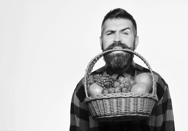 Bauer mit verführerischem Gesicht zeigt Äpfel, Trauben und Preiselbeeren — Stockfoto