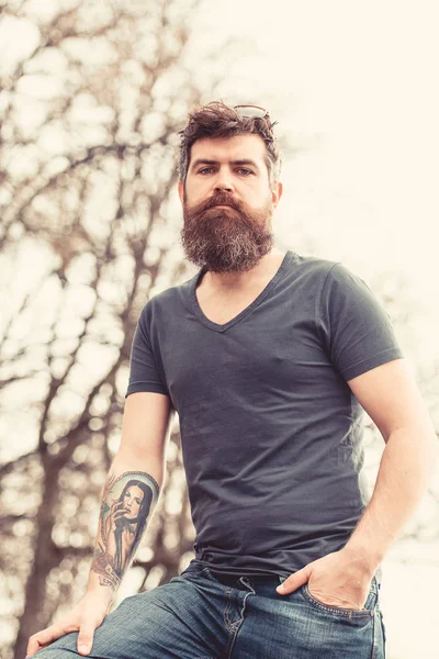 Sakal ve bıyık sıkı yüzündeki defocused arka plan, ağaçta olan adam. Casual kıyafet açık poz içinde sakallı adam. Uzun sakallı adam şık ve kendinden emin görünüyor. Berber ve stil kavramı