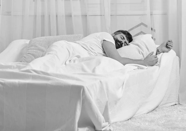 Guy on calm face sleeping on white sheets, pillow. Fast asleep concept. Macho with beard sleeping, relaxing, having nap, rest. Man laying on bed, covered with blanket, white curtains on background