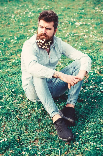 Hipster sur le visage strict est assis sur l'herbe. Concept printanier. Homme à longue barbe et moustache, fond de prairie vert déconcentré. Il est beau avec des fleurs de marguerite ou de camomille à la barbe. — Photo