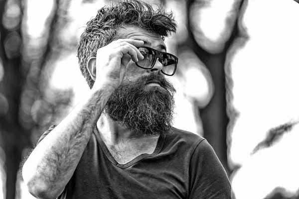 Bearded man takes off sunglasses. Barbershop and style concept. Hipster with beard looks stylish while standing outdoors. Man with beard and mustache on strict face, branches on background, defocused
