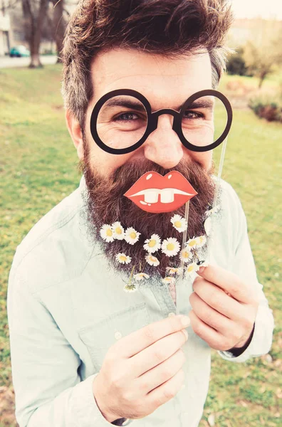 Man with long beard and mustache, defocused green background. Hipster on cheerful face, posing with glasses and lips. Nerd concept. Guy looks nicely with daisy or chamomile flowers in beard