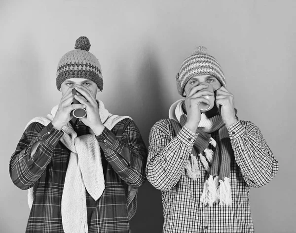 Irmãos gêmeos vestindo chapéus quentes e cachecóis segurar copos — Fotografia de Stock