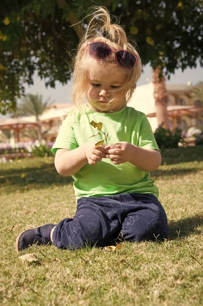 Boy with sunglasses sit with leaf on green grass — Stock Photo, Image