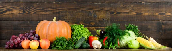 Gemüse aus eigenem Anbau. frisches Bio-Gemüse auf dunklem Holzgrund. Lebensmittelgeschäft-Konzept. Herbsternte Bioprodukte Kürbismais-Gemüse. Gemüse aus Garten oder Bauernhof hautnah — Stockfoto