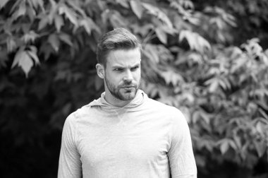 Güven yayar. Sakallı yakışıklı mükemmel saç görünüyor. Adam çekici stil görünümü sakallı. Adam kesin yüz şık saç modeli doğa arka plan kıl. Güven kavramı