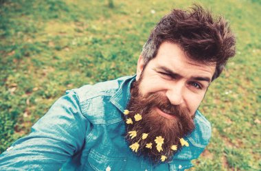 Küçük kırlangıçotu çiçeklerle selfie fotoğrafta sakallı adam. Hippi selfie fotoğrafta yüzüne neşeli yüz buruşturma ile. Adam bahar, yeşil çayır arka plan, defocused sahiptir. Neşeli ruh kavramı