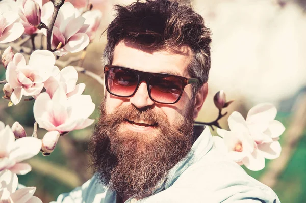 Homme à la barbe et à la moustache porte des lunettes de soleil le jour ensoleillé, des fleurs de magnolia sur fond. Concept de mode. Guy a l'air cool avec des lunettes de soleil élégantes. Hipster heureux avec des lunettes de soleil à la mode — Photo