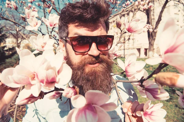 Έννοια βαρβαρότητα και τρυφερότητα. Βάναυση macho χαμογελώντας κοντά τρυφερά λουλούδια στην ηλιόλουστη μέρα. Άντρας με γένια και μουστάκι φοράει γυαλιά ηλίου, magnolia λουλούδια φόντο. Hipster με μοντέρνα γυαλιά ηλίου — Φωτογραφία Αρχείου