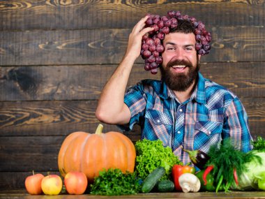 Üzüm kendi bahçesinden. Tarım kavramı. Çiftçi üzüm hasat gurur. Ahşap arka plan üzüm dostum. Çiftçi başına koy homegrown hasat üzüm ile adam sakallı. Taze organik hasat