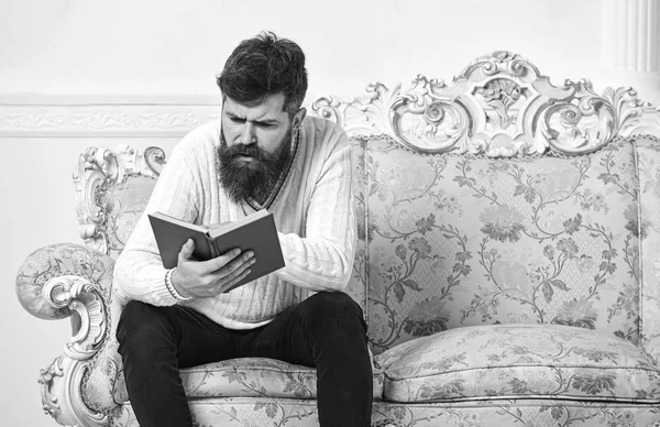 Мачо на концентрированной книге по чтению лиц. Скандальная концепция бестселлера. Человек с бородой и усами сидит на диване в стиле барокко, держит книгу, белый фон стены. Парень читает книгу с вниманием — стоковое фото