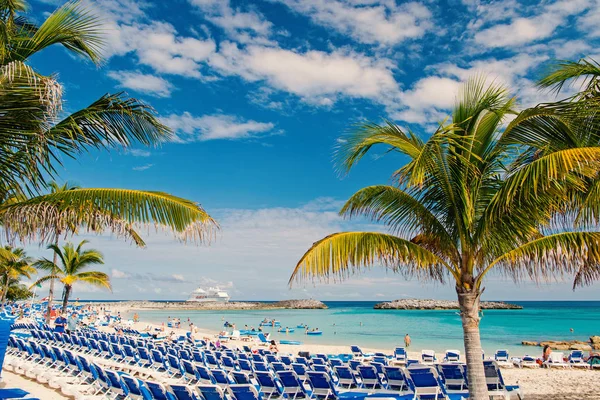 大马镫岛, 巴哈马-2016年1月08日: 海边, 人, 椅子, 绿棕榈树在晴天。暑假, 假期, 放松。流浪, 旅行, 旅行。发现, 冒险, 旅途 — 图库照片