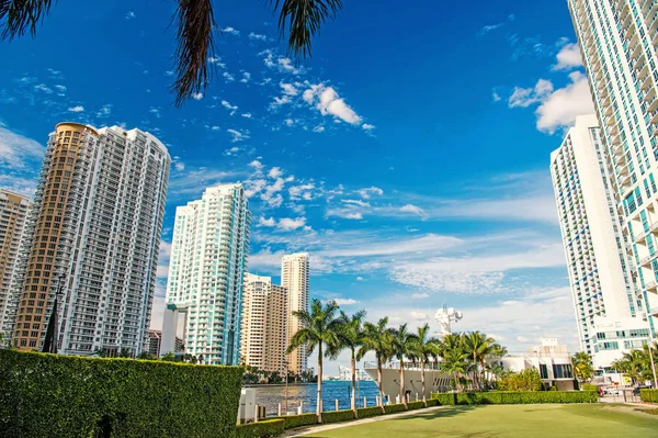 Rascacielos de Miami skyline — Foto de Stock