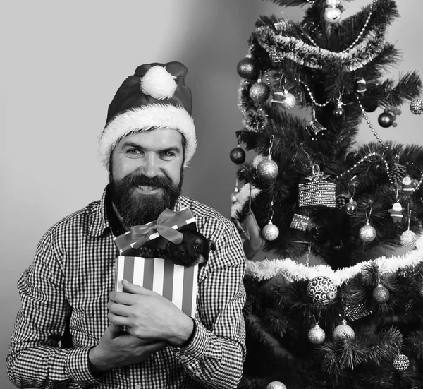 Ragazzo con il viso sorridente disfa minuscola scatola regalo — Foto Stock