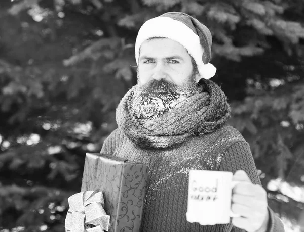 Knappe man in Kerstman hoed, bebaarde hipster met baard en snor bedekt met white frost, wachtruimten cup met wazig Goedemorgen tekst op zonnige winterdag buitenshuis op natuurlijke pagina — Stockfoto