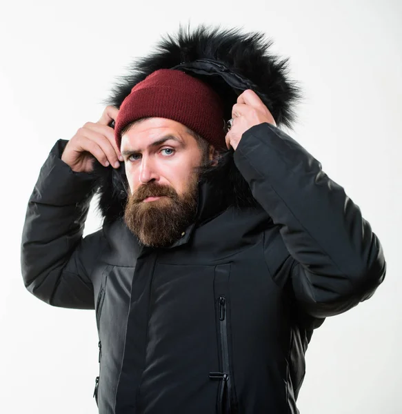 Man met baard stand warme jas parka geïsoleerd op een witte achtergrond. Hood voegt warmte en weer weerstand. Hoe te kiezen van de beste winter jas. Winter seizoen herenkleding. Weerbestendig jas concept — Stockfoto