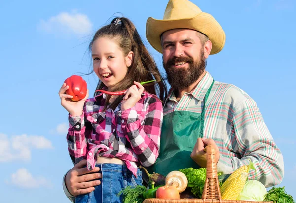 Only organic and fresh harvest. Man bearded rustic farmer with kid. Farmer family homegrown harvest. Father and daughter hold basket harvest vegetables. Gardening and harvesting. Family farm concept — Stock Photo, Image
