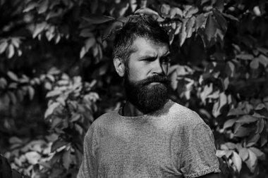 Sonbahar sezonu ve erkeklik kavramı. Ciddi yüzlü adam.