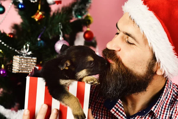 Pet na Boże Narodzenie. Mężczyzna w świątecznym kapeluszu bawi się szczeniakiem. — Zdjęcie stockowe