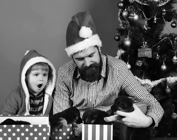犬のコンセプトの新年 ひげと子供を持つお父さんはクリスマスツリーの近くに犬を保持します 衝撃的な顔をした父と息子は 赤い背景にプレゼントを展開します 男と男の子でサンタ帽子とフード遊びとともに子犬 — ストック写真